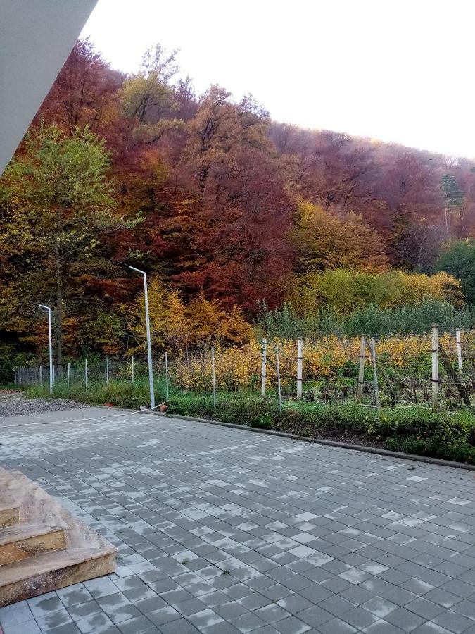 Livada Amely Hotel Gales Exterior photo